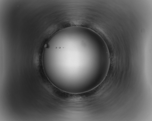X0000089340738200706151043