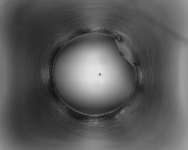 X0000089340740200706151043