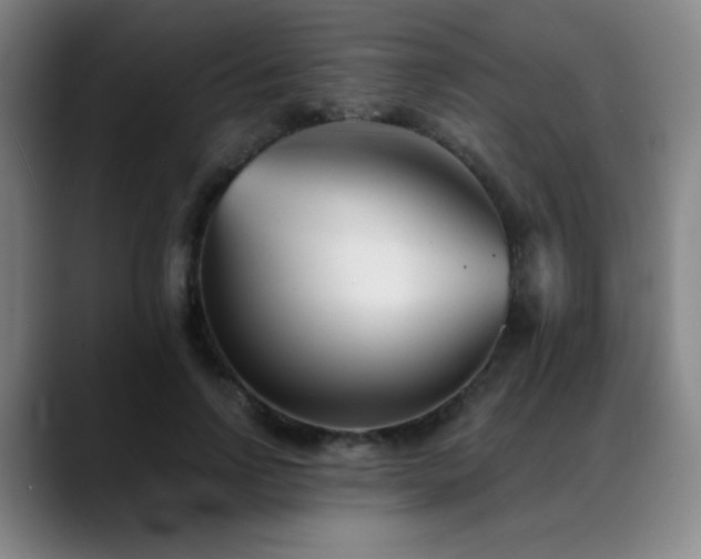 X0000089340742200706151043