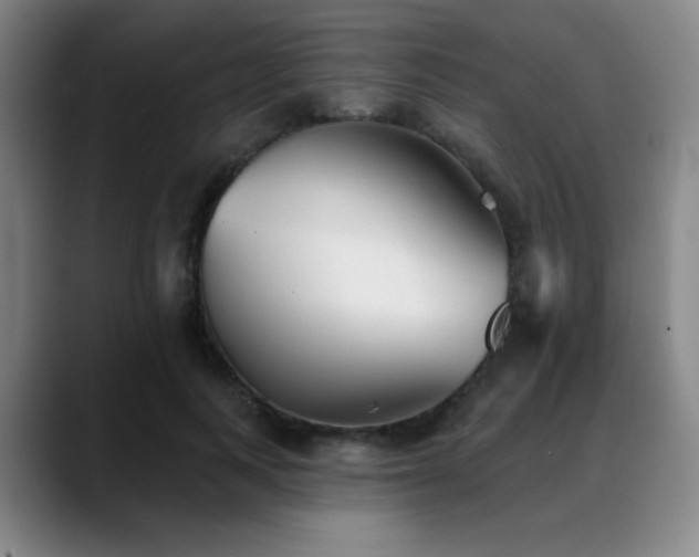 X0000089340743200706151043