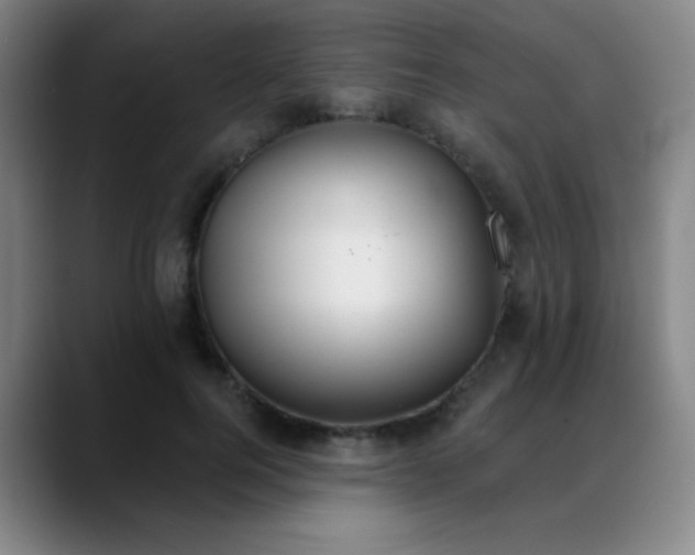 X0000089340744200706151043