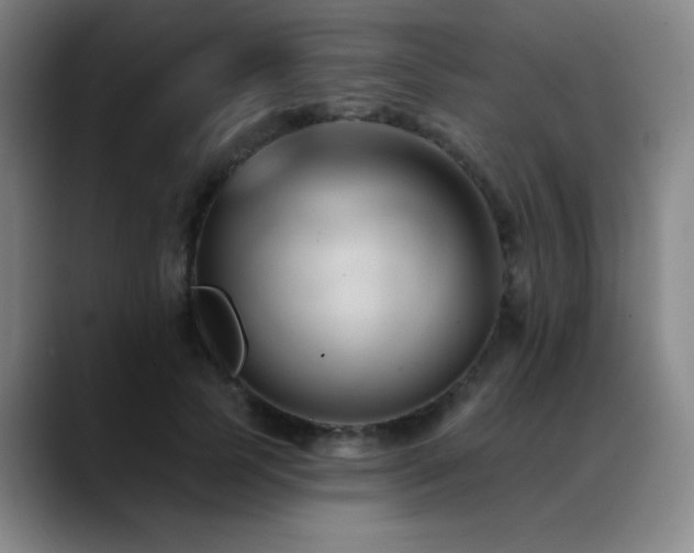 X0000089340745200706151043