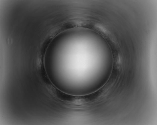 X0000089340746200706151043