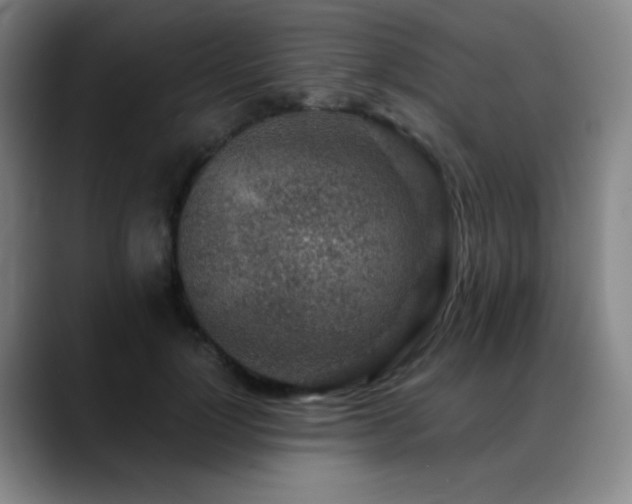 X0000089340748200706151043