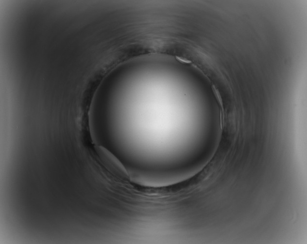 X0000089340750200706151043