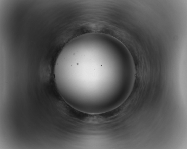 X0000089340752200706151043