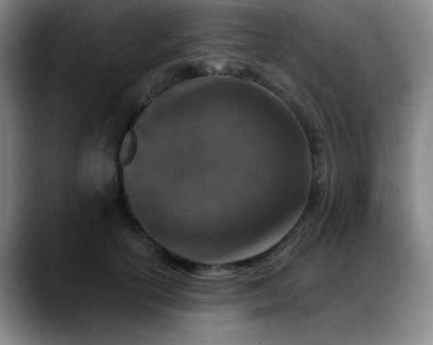 X0000089340754200706151043