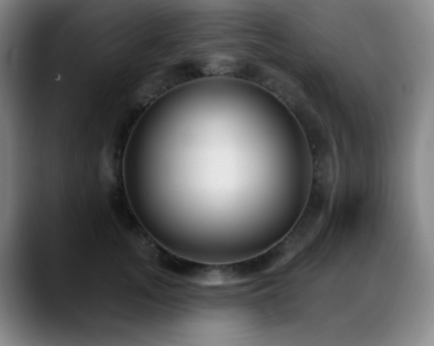 X0000089340755200706151043