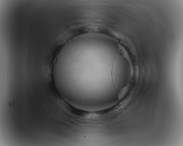 X0000089340759200706151043