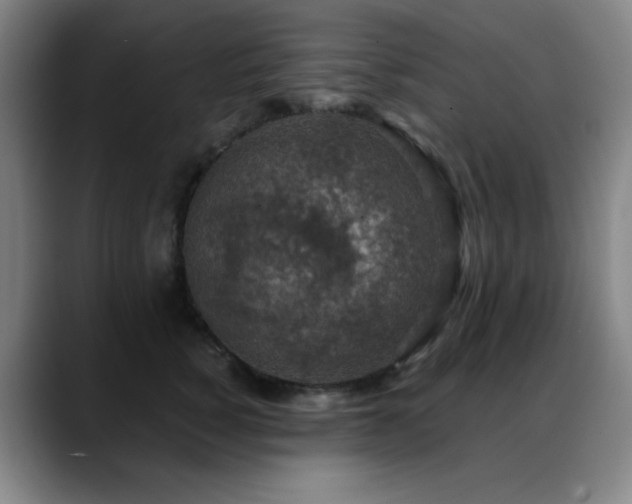 X0000089340760200706151043