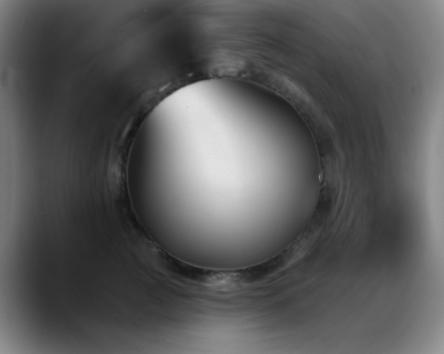 X0000089340761200706151043