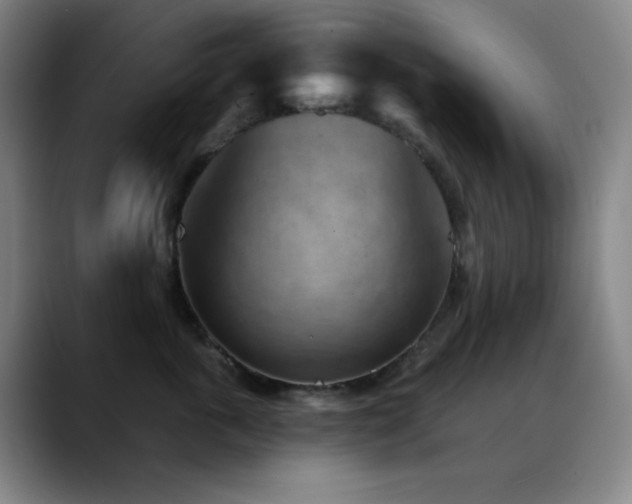 X0000089340763200706151043