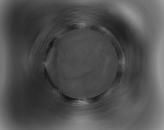 X0000089340765200706151043