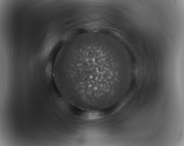 X0000089340767200706151043