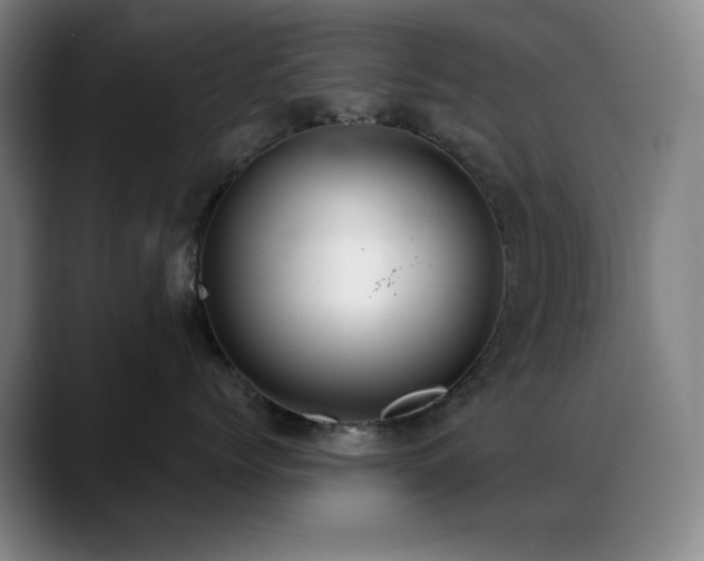 X0000089340768200706151043