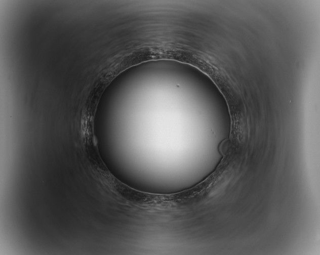 X0000089340770200706151043