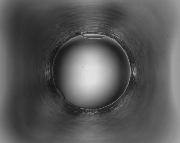 X0000089340771200706151043
