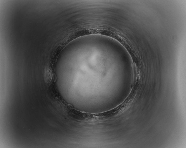 X0000089340772200706151043