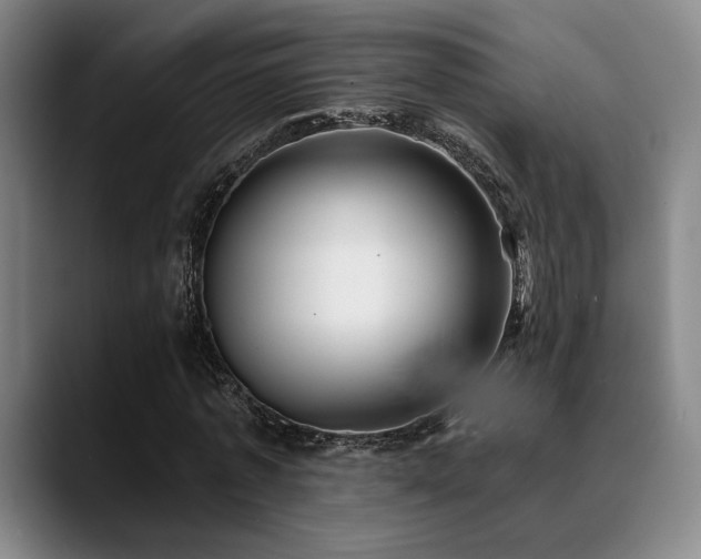 X0000089340773200706151043