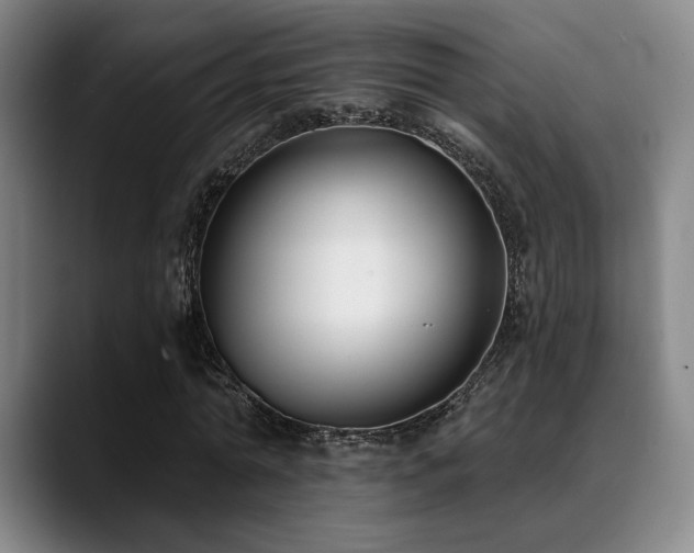 X0000089340774200706151043