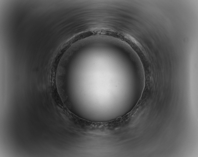 X0000089340775200706151043