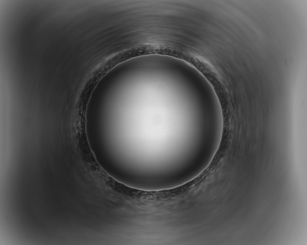 X0000089340776200706151043