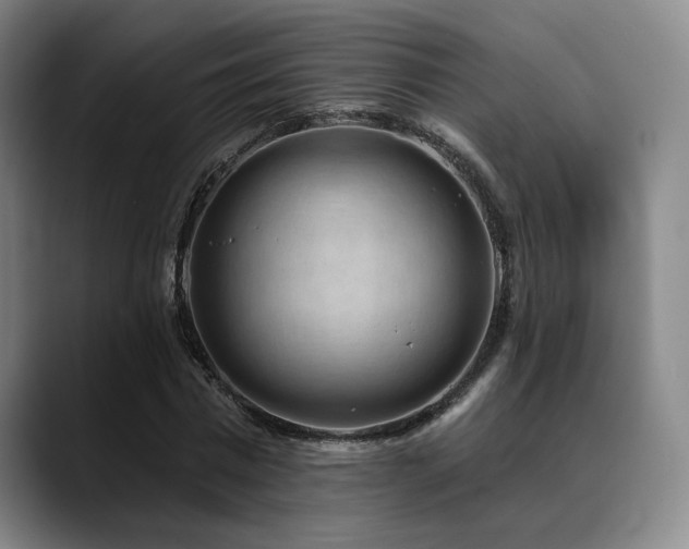 X0000089340777200706151043