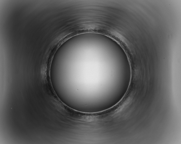 X0000089340778200706151043