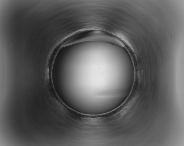X0000089340781200706151043