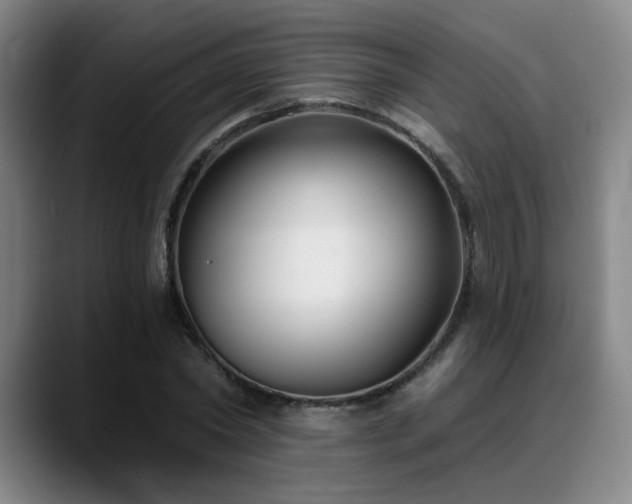 X0000089340782200706151043