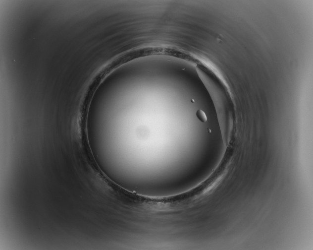 X0000089340783200706151042