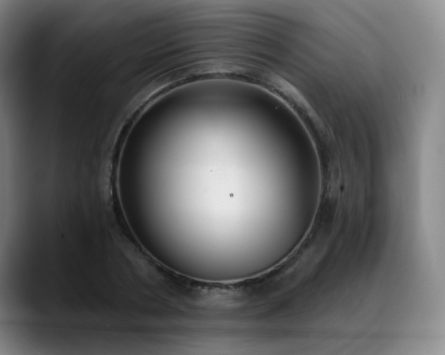 X0000089340786200706151042