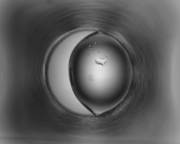 X0000089340788200706151042