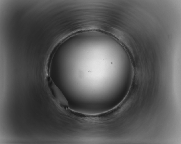 X0000089340789200706151042