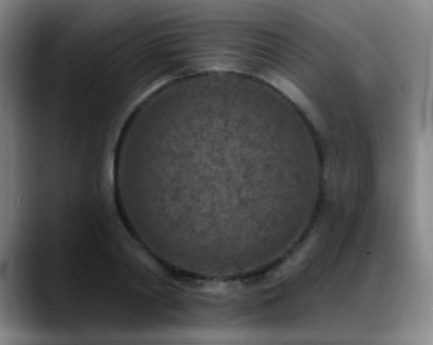 X0000089340790200706151042
