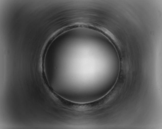 X0000089340791200706151042