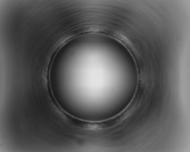 X0000089340794200706151042