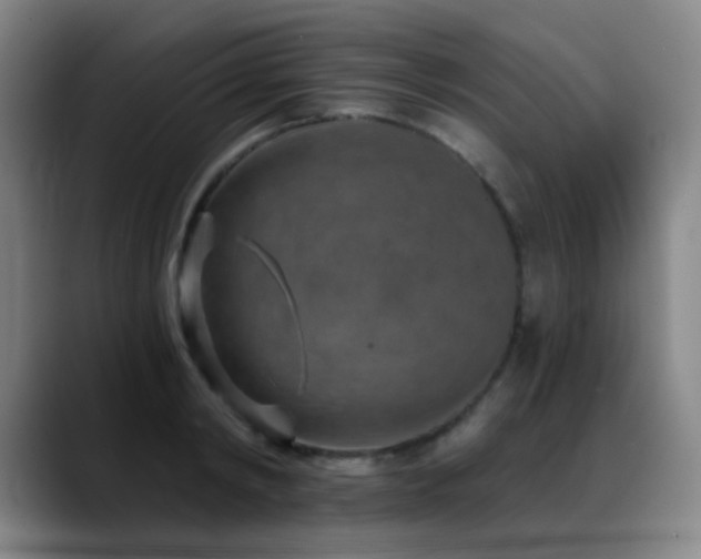 X0000089340798200706151042