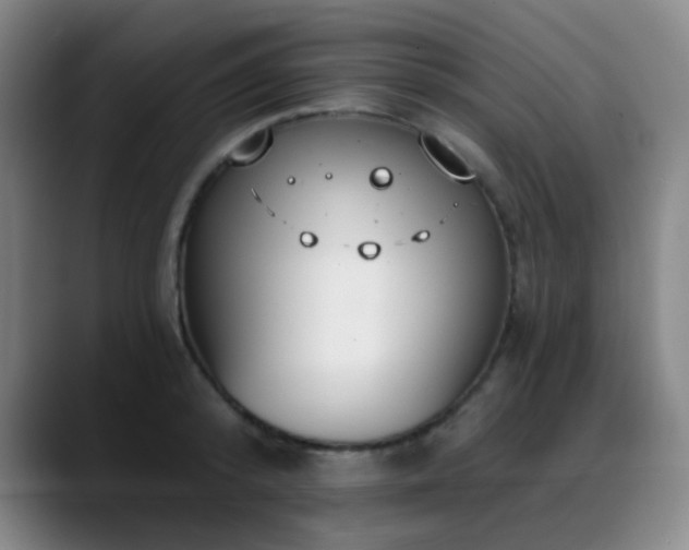 X0000089340800200706151042