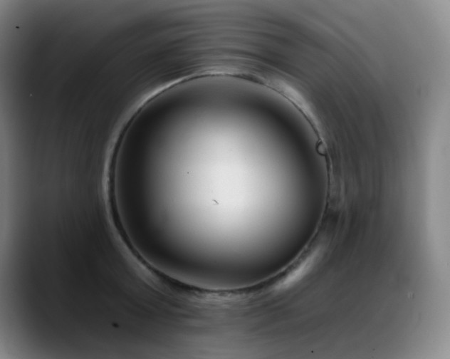 X0000089340803200706151042