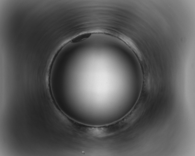X0000089340805200706151042