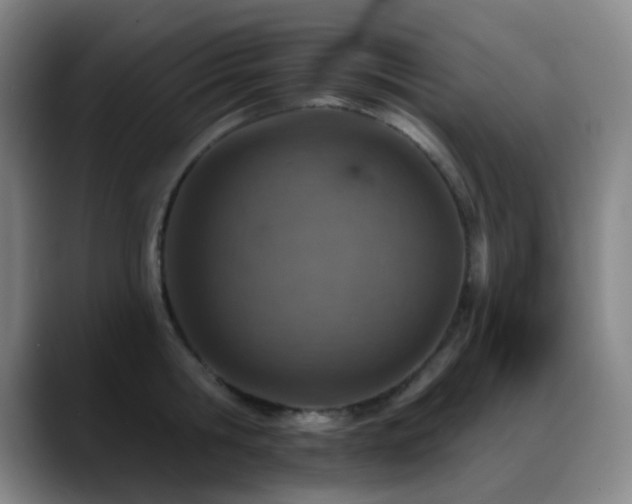 X0000089340806200706151042