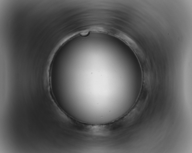 X0000089340808200706151042