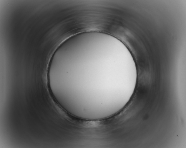 X0000089340810200706151042