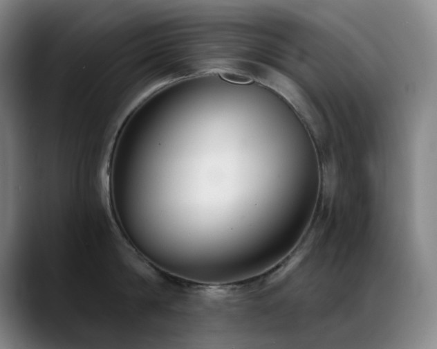 X0000089340814200706151042