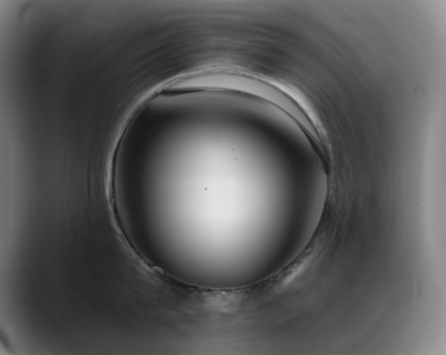 X0000089340815200706151042