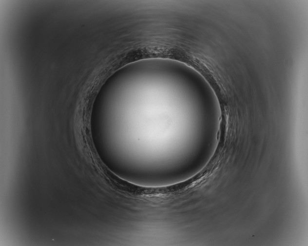 X0000089340817200706151041