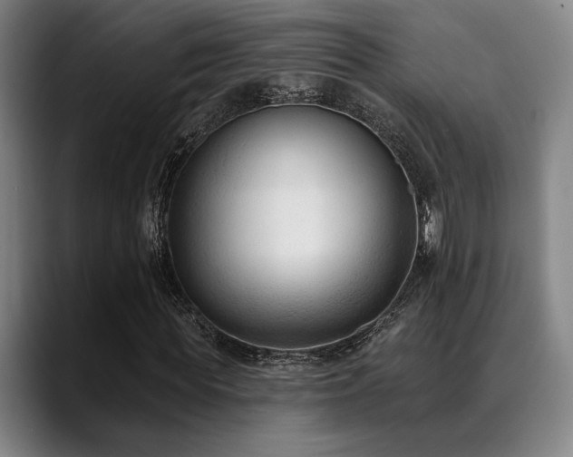 X0000089340819200706151041