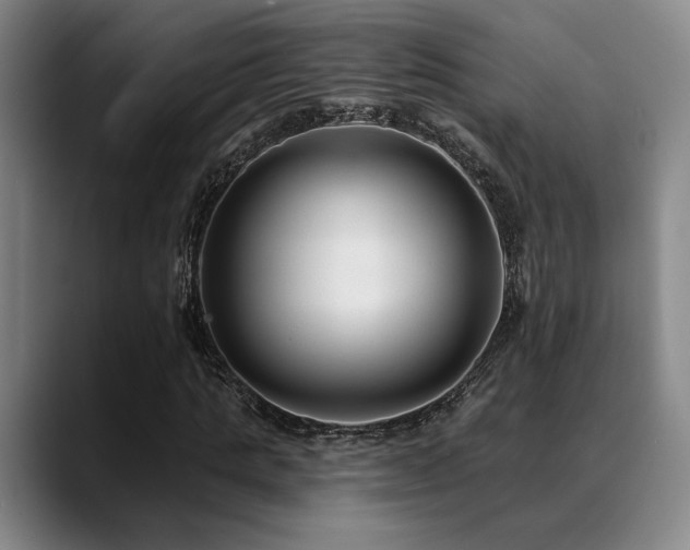 X0000089340821200706151042