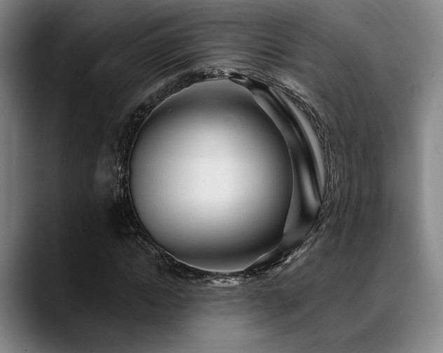 X0000089340822200706151042